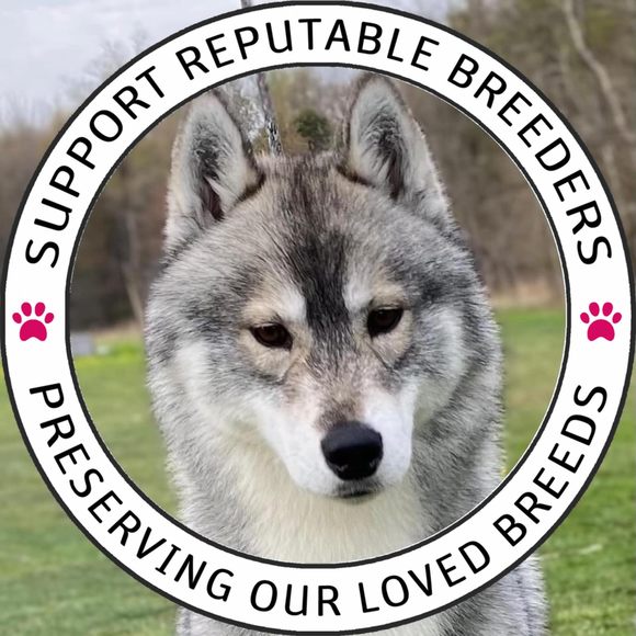 Meet your Posher, Sheri - Picture 1 of 1